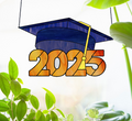 Class of 2025 Graduate Cap Stained Glass Pattern
