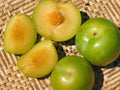 5 Emerald Pluot Scions – Unrooted 3–6" Grafting Cuttings – Plum x Apricot Hybrid – Rare Fruit Tree Variety for Grafting