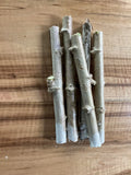 Yuca Cassava Stem Cuttings - Fresh Healthy Plant Cuttings - Manihot esculenta