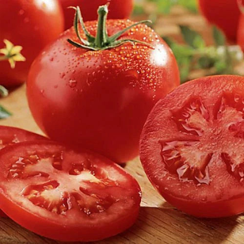 Celebrity Tomato Seeds | F1 Hybrid | Non-GMO | Solanum lycopersicum | Vegetable Garden Seeds