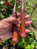 25+ Red Burgundy Okra Seeds - Non-GMO Heirloom Variety - Fresh Organic Seeds for Planting (Abelmoschus esculentus)