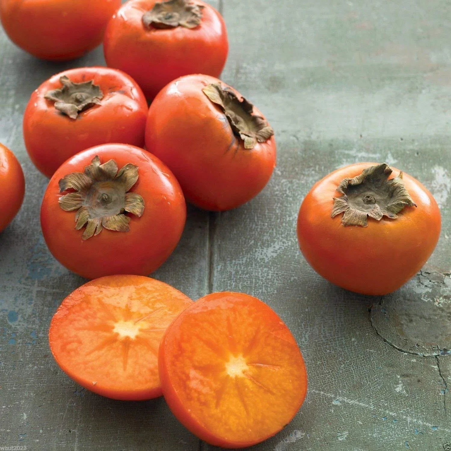 American Persimmon Seeds - 10 Count - Diospyros virginiana - Common Persimmon, Edible Fruit Tree Seeds