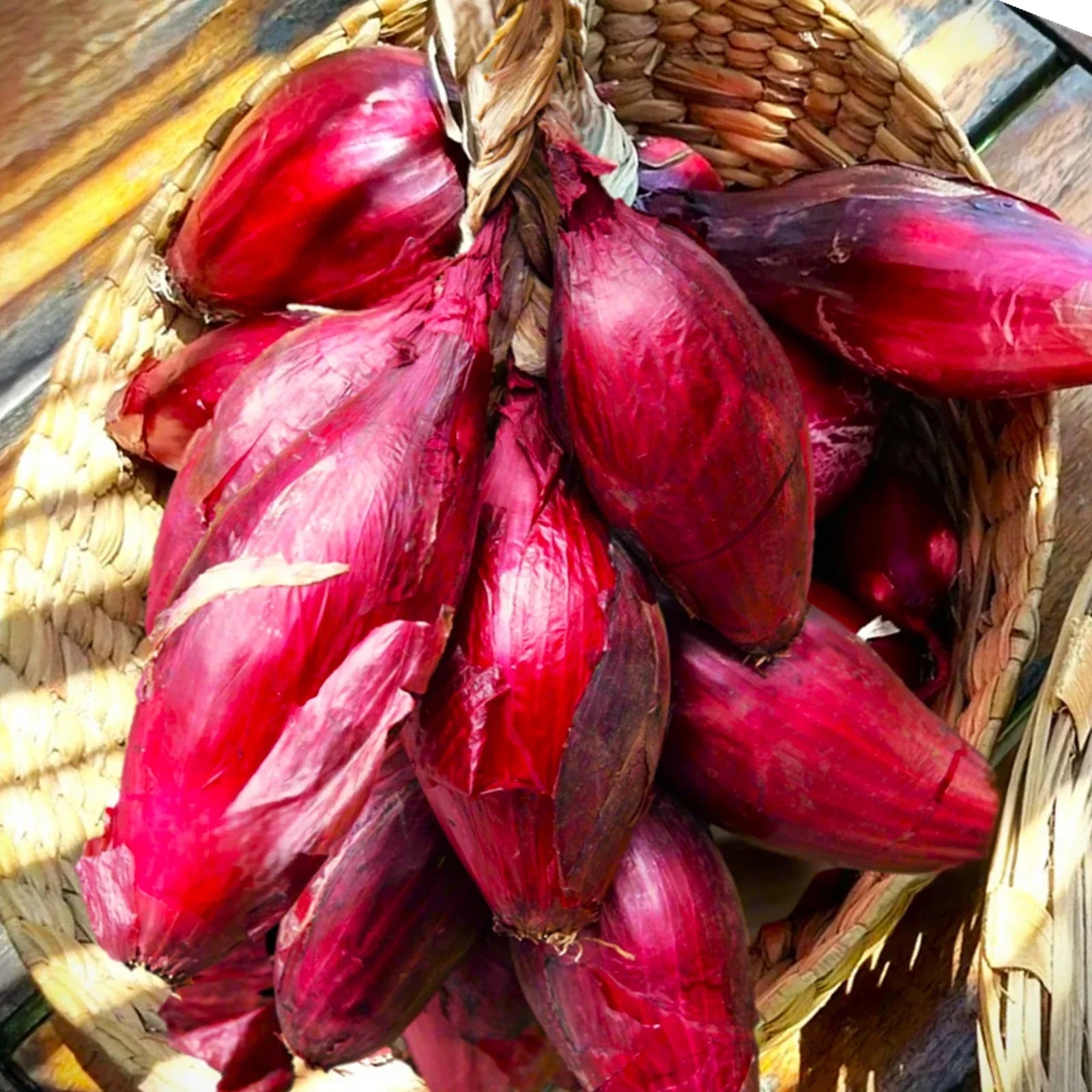 Red Tropea Onion Seeds - Italian Cipolla Rossa Di Torpea - Heirloom Seeds for 2025 Planting