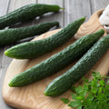 Suyo Long Cucumber Seeds - 100+ Heirloom, Non-GMO, Organic - Cucumis sativus - Rare Garden Seeds