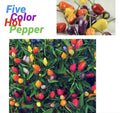 Five Color Chili Pepper Seeds - 25+ Rainbow Chili Seeds - Capsicum Annuum - Free Green Eggplant Seeds