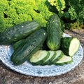 Double Yield Cucumber Seeds - Organic Heirloom - 200+ Non-GMO Seeds - Cucumis sativus - Fresh Gardening Supplies