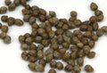 Caper Bush Seeds - 25+ Seeds - Capparis Spinosa - Edible Plant for Garden and Culinary Use
