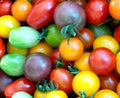 Rainbow Cherry Tomato Seeds - 60+ Heirloom Organic Non-GMO - Lycopersicon esculentum