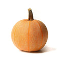Winter Luxury Pumpkin Seeds - 25+ Pack for Garden Planting - Cucurbita pepo - USA Grown, Non-GMO