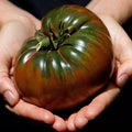 Russian Black Krim Tomato Seeds - 30+ NON-GMO Organic Heirloom Seeds for Planting - Solanum lycopersicum