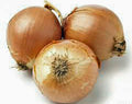 Spanish Yellow Onion Seeds - Heirloom Non-GMO - 100 Seeds - Allium cepa