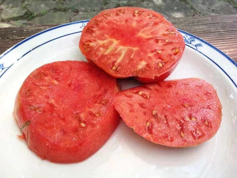 German Johnson Tomato Seeds - 10+ Non-GMO Heirloom Organic Seeds - Perfect for Home Gardening - Solanum lycopersicum