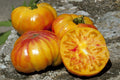 Buffalosun Tomato Seeds - 30 Organic Hybrid F1 Seeds - Heirloom Variety - Perfect for Home Gardening