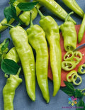 Hungarian Wax Hot Pepper Seeds - 25+ Seeds for Garden Planting - Capsicum annuum - USA - Free Shipping