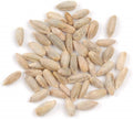 Rye Berries 8 OZ Bag | High in Fiber and Iron | Whole Grain Nutrition - Secale cereale