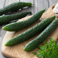 Suyo Long Cucumber Seeds - Heirloom Non-GMO Organic - Rare Vegetable Seeds - Cucumis sativus