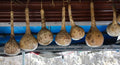 Dipper Gourd Squash Seeds - 25+ Pack - Ideal for Garden Planting - Lagenaria siceraria - USA Shipping Available