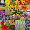 Northeast Wildflower Seed Mix, 1/4 lb, 120,000+ Seeds for Planting, Native Flower Varieties, Eco-Friendly Garden Mix