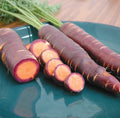 Purple Dragon Carrot Seeds - 100+ Heirloom Organic Non-GMO - Rare Vegetable Seeds (Daucus carota)