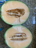 Cantaloupe Melon Seeds - 25 Pack, Sweet Delicious Variety, Homegrown USA, Easy to Grow