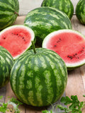 Cal Sweet Bush Watermelon Seeds - 50+ Pack for Garden Planting - Citrullus lanatus - USA Grown - Free Shipping