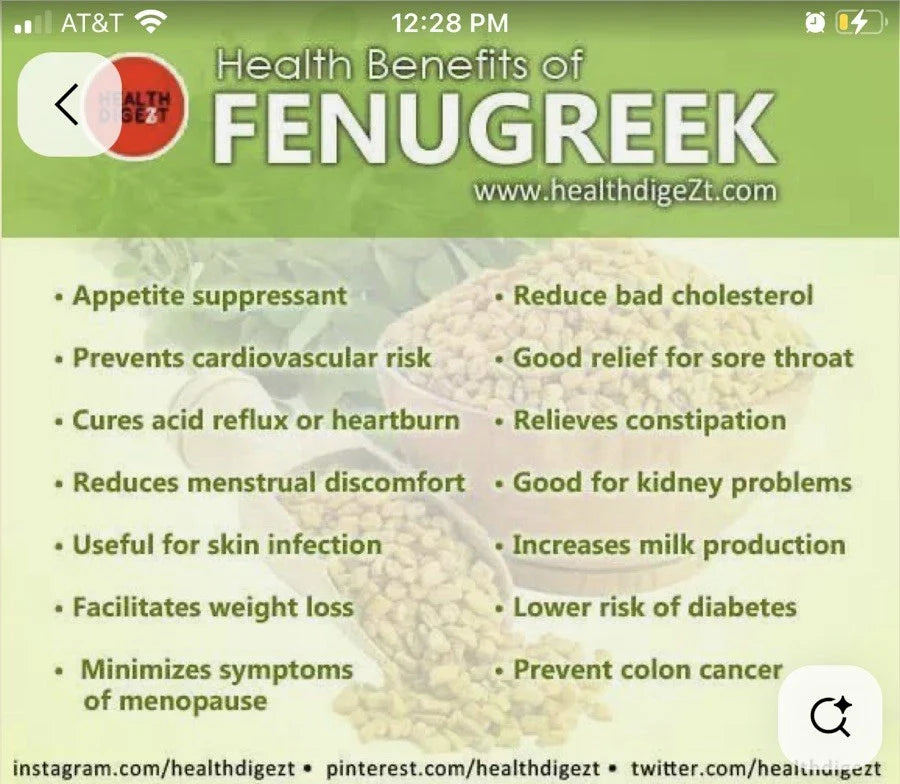 Fenugreek Seeds - 200 Non-GMO Open Pollinated Seeds - Trigonella foenum-graecum