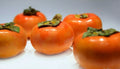 Live Fuyu Persimmon Tree Seedlings 6" to 1 FT - Diospyros Kaki Fruit Plants for Home Garden