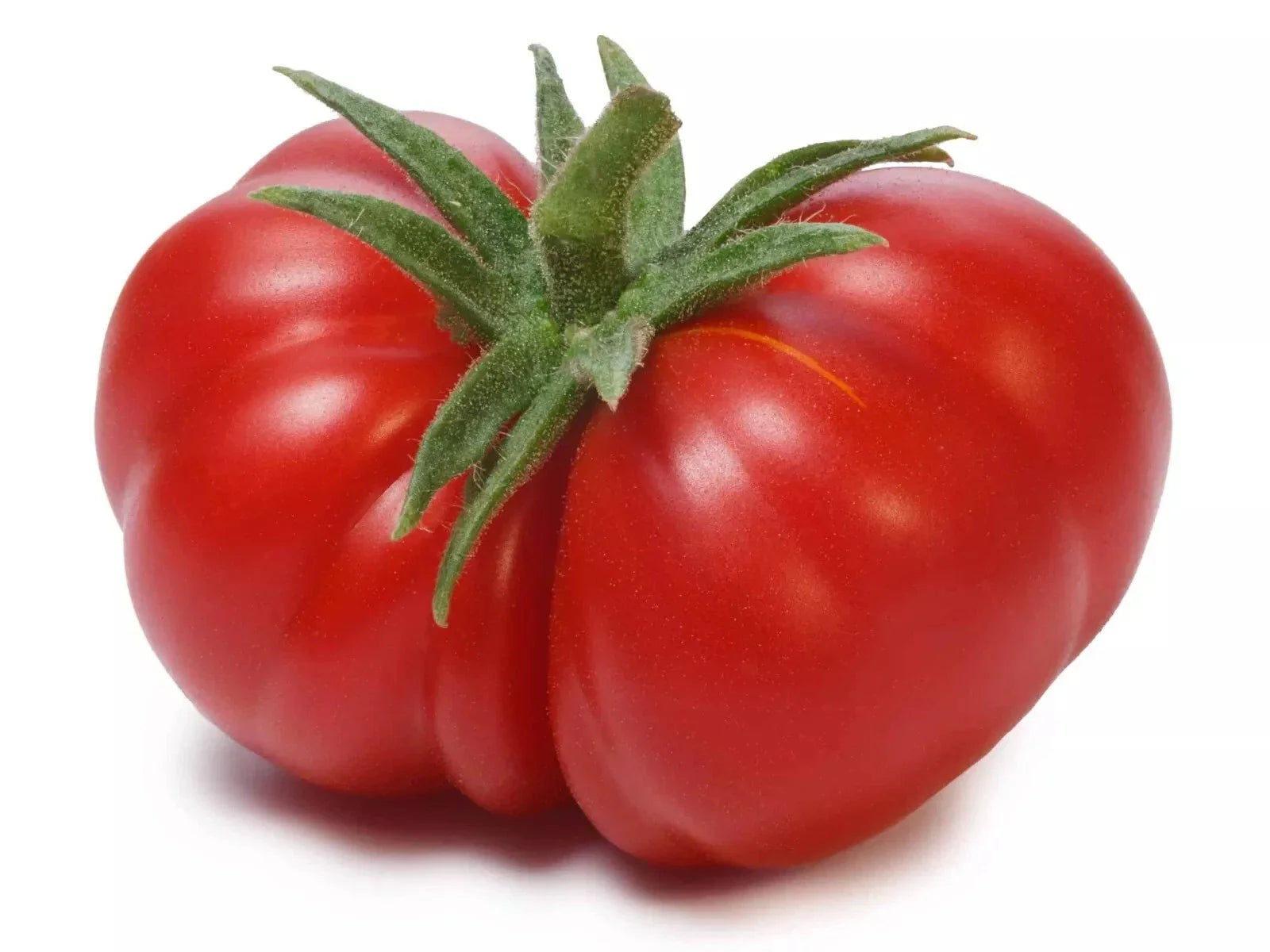 Beefsteak Tomato Seeds - Organic Heirloom - Non-GMO - 120+ Large Seeds - Perfect for Home Gardening - Solanum lycopersicum