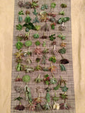 Premium Succulent Cuttings Set - 60 Total, 40 Varieties, 5 Rare Species - Ideal for Gardening and Home Decor