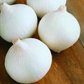 White Sweet Spanish Onion Seeds - Heirloom Non-GMO Variety - Organic Gardening - Allium cepa