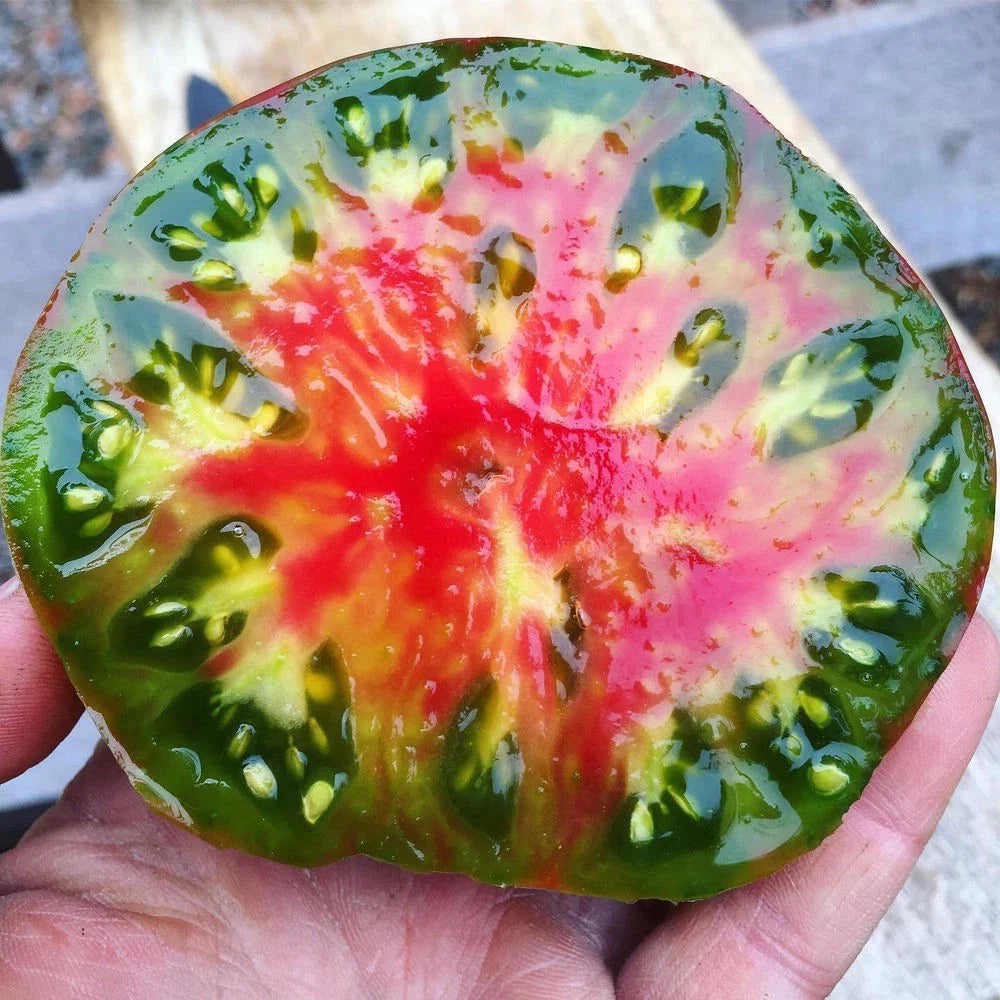 Ananas Noire Tomato Seeds - 10+ Heirloom Organic Black Pineapple - Rare Variety - Solanum lycopersicum
