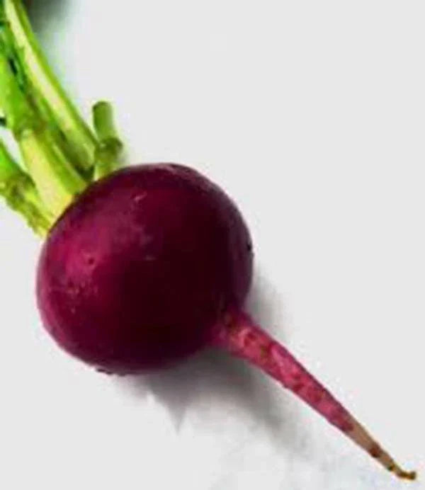 Beet Seeds 500 Count - Early Wonder Heirloom Non-GMO (Beta vulgaris)