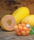 Mango Seeds - 50 Count - Tropical Fruit - Mangifera indica - Made in USA, Ships from Iowa