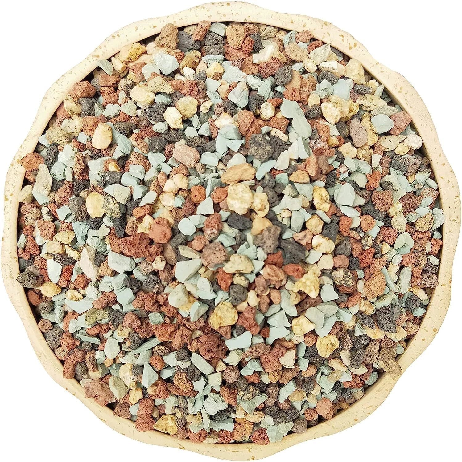 5Lb Succulent Soil Mix - Gritty Blend for Cactus Drainage and Root Health - Ideal for Succulents and Cacti