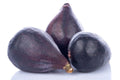 LSU Gold Fig Seeds - 100+ Premium Seeds for Garden Planting - Ficus carica - USA Grown