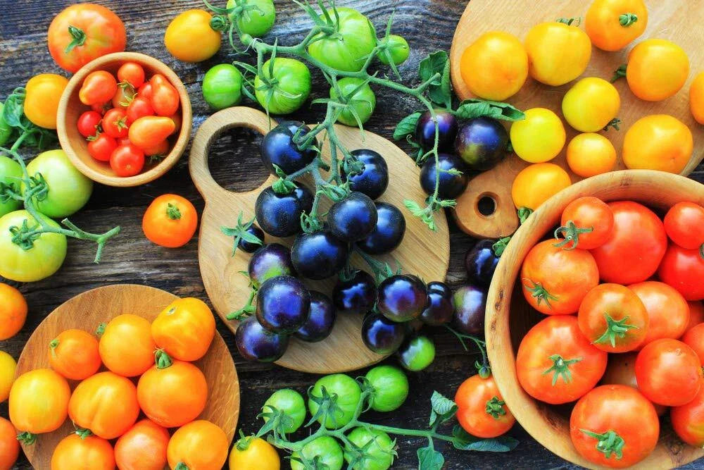Black Cherry Tomato Seeds - 100+ Seeds - Midnight Snack Variety - Solanum lycopersicum