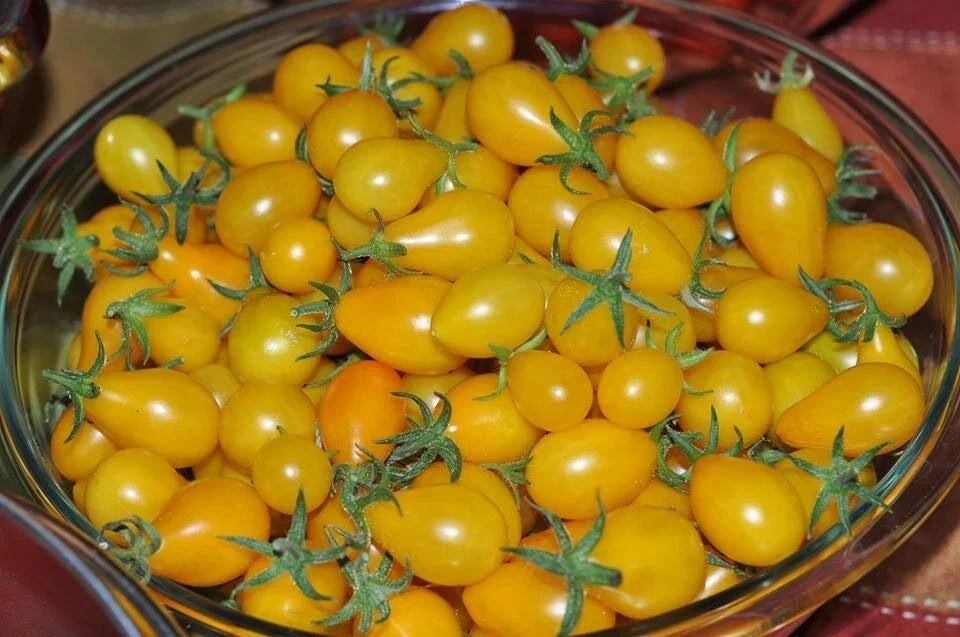 Yellow Pear Tomato Seeds - 10+ Heirloom NON-GMO Fresh Seeds - Solanum lycopersicum