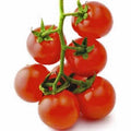 Sweet Large Cherry Tomato Seeds, Heirloom Variety, Non-GMO, 100+ Seeds, Perfect for Home Gardens, Solanum lycopersicum