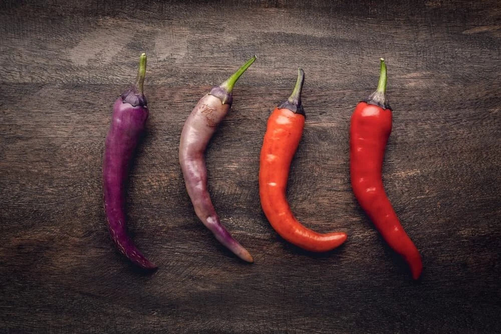 Buena Mulata Pepper Seeds - 50+ Seeds - Versatile Hot Pepper for Eating and Cooking - Capsicum annuum