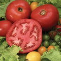 Beefsteak Tomato Seeds - 120+ Heirloom Organic Seeds for Tasty Home Gardening - Solanum lycopersicum