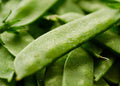 Mammoth Melting Sugar Snow Pea Seeds - NON-GMO Heirloom - Garden Vegetable Seeds - Pisum sativum