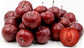 American Plum Tree 1 Gallon Flowering Fruit Shrub Prunus americana Zones 3-8 Self-Pollinating Sweet-Sour Fruit