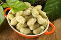 White Mulberry Tree Seeds - 50+ Non-GMO Seeds - Morus Alba - Hardy Fruit Tree Seeds, Grown and Shipped Fresh