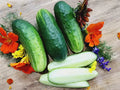 Wisconsin SMR-58 Cucumber Seeds - 100+ Heirloom Pickling Seeds - Organic, Non-GMO - Cucumis sativus