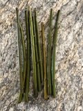Austree Willow Hybrid Live Cuttings – 60 Salix Tree Stems for Planting, Unrooted Outdoor Willow Cuttings